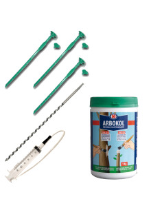 Endoterapia Kit Manual Palmeras