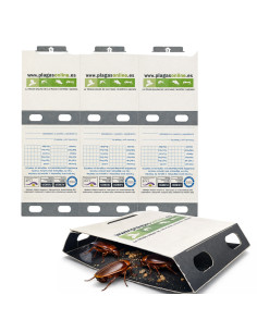 TRAMPA CAPTURA CUCARACHA ECO PACK 3 uds