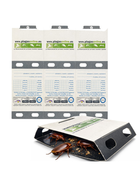 TRAMPA CAPTURA CUCARACHA ECO PACK 3 uds