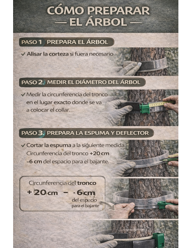 TRAMPA PROCESIONARIA ORUGA 【Solución Definitiva】