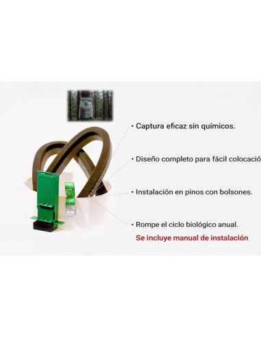 TRAMPA PROCESIONARIA ORUGA 【Solución Definitiva】