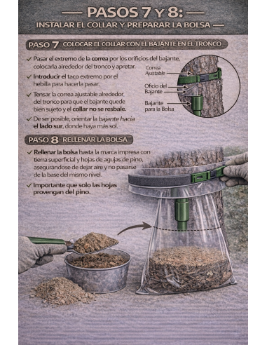 TRAMPA PROCESIONARIA ORUGA 【Solución Definitiva】