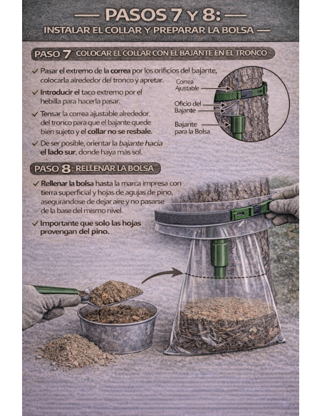 TRAMPA PROCESIONARIA ORUGA 【Solución Definitiva】