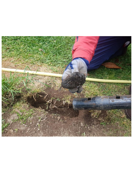 Trampas para Topos Efectivas | Envío Gratis en 24h