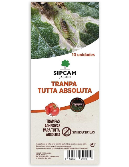 tuta absoluta