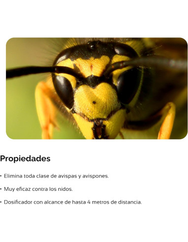 Insecticida avispas aerosol largo alcance 750ml -