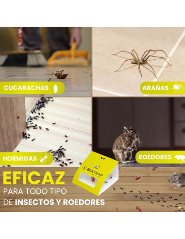 Trampa Cucarachas e Insectos Rastreros divisible 5 uds