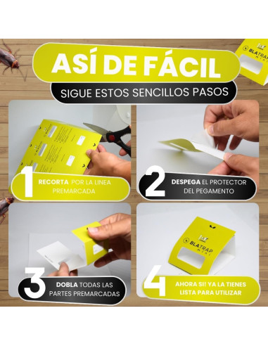 Trampa Cucarachas e Insectos Rastreros divisible 5 uds
