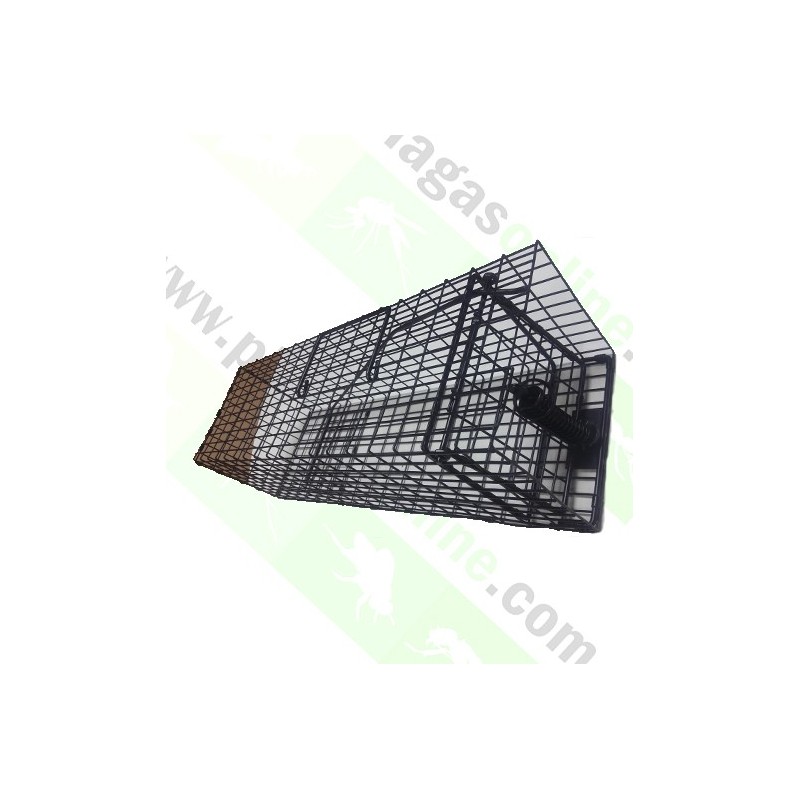 Agradable Trampas Para Cazar Ratas #4: Jaula-captura-ratas-gmb.jpg Agradable Trampas Para Cazar Ratas #4: Jaula-captura-ratas-gmb.jpg