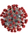 Recomendaciones de la salud Coronavirus