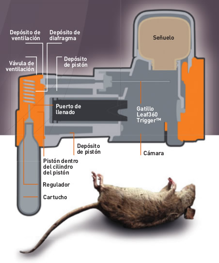 trampa multicaptura ratas y ratones