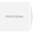 Profesional.jpg