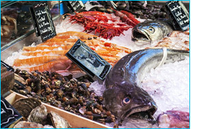 aplicacion pescaderias.jpg