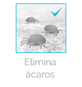 boton principio activo elimina acaros.jp