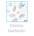 boton principio activo elimina bacterias