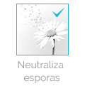 boton principio activo neutraliza espora