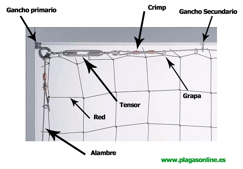 como colocar redes palomas