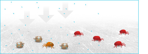 principio activo ozono elimina acaros.jp