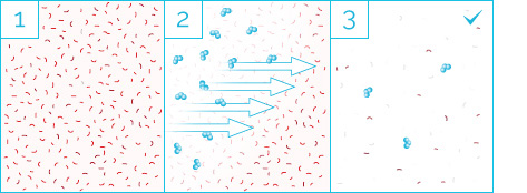 principio activo ozono elimina bacterias
