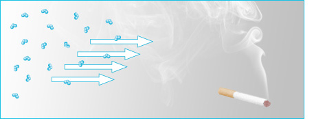 principio activo ozono elimina humos y g