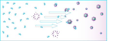 principio activo ozono elimina virus.jpg