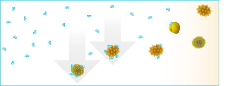 principio activo ozono neutraliza espora