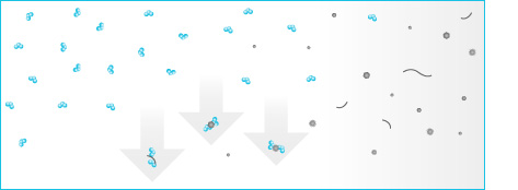 principio activo ozono neutraliza polvo.