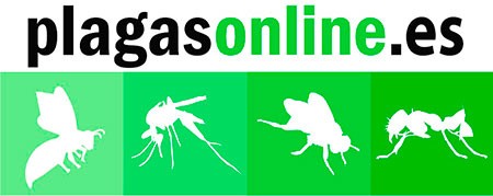 Hormigas de Plagas Control de Plagas para Las Moscas Cucarachas 4 Packs Repelente Ultrasónico Antimosquitos Murciélagos Eléctrico Extra Fuerte para Interiores Ratas y Ratones 