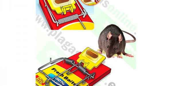 Trampa para Ratones